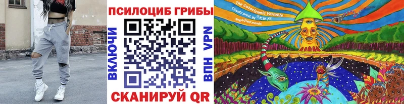 Галлюциногенные грибы Cubensis  Казань 